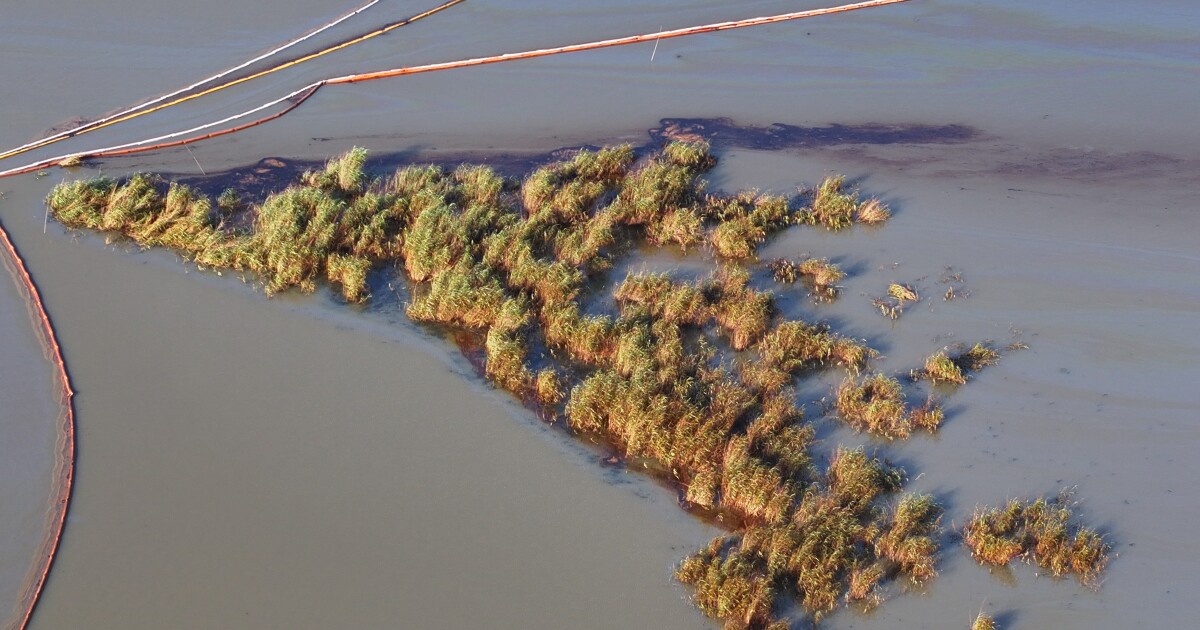 An 83-year-old oil well is leaking off the coast of Plaquemines